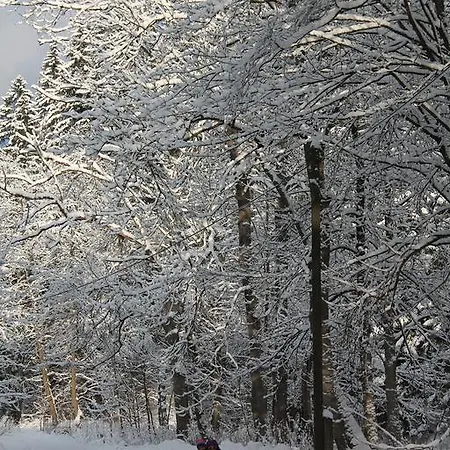 Venkovský dům Rekreace U Sazečků